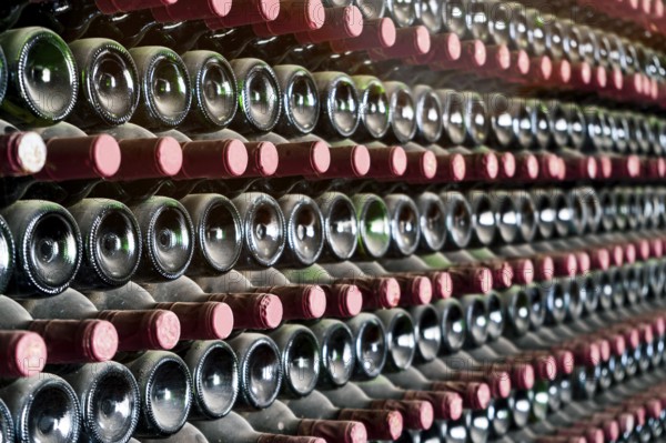 Many bottles in a row stacked on a winery shelf, Lanzarote, Spain, Europe