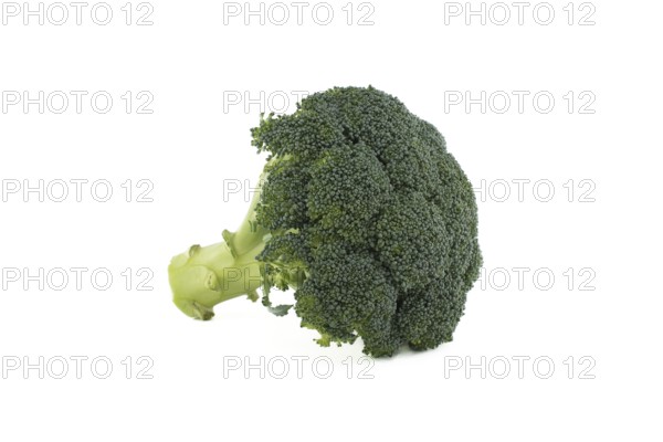 Fresh raw green broccoli florets isolated on white background