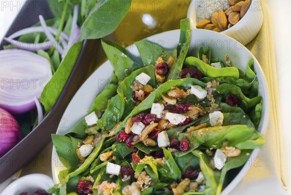 Plate of fresh colorfull spinach salad close up