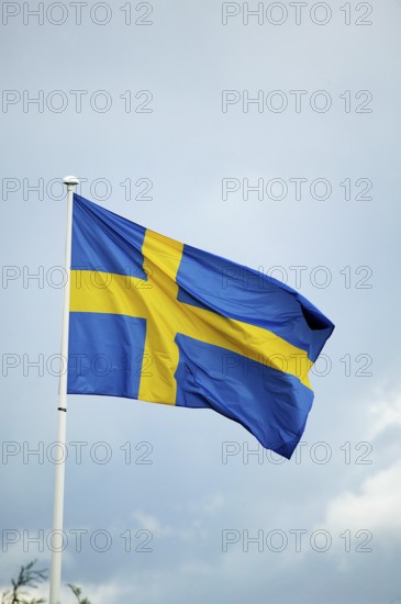 Suedish Flag