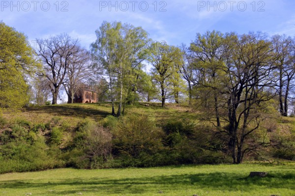 Court arbour, Babelsberg Palace Park, Potsdam, Brandenburg, Germany, Europe