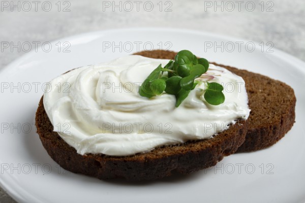 Breakfast, cream cheese sandwich, with micro greens, close-up, top view, selective focus, no people