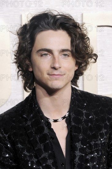 Timothee Chalamet at the 81st Annual Golden Globe Awards held at the Beverly Hilton Hotel in