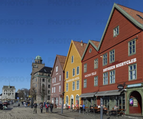 Bryggen district, Bergen, Norway, Southwest coast, Scandinavia, Northern Europe, Europe