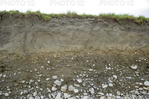 A cutting shows layers of topsoil, sub soil and shingle in typical West Coast farmland, South