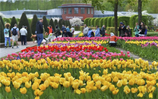Keukenhof in the Netherlands has long been a magnet for international tourism, but it is