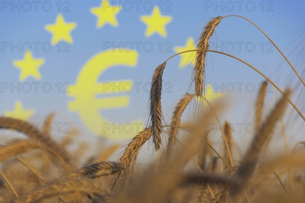 Agriculture subsidies in Europe