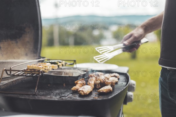 Close up of chicken wings, cheese and vegetables on gas grill. Summer time, outdoors