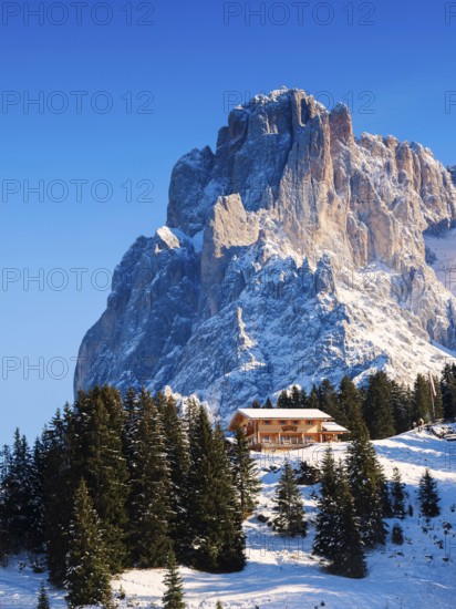 Mt Sasso Lungo or Mt Langkofel with a mountain refuge at front, Seiser Alm alpine meadow, South