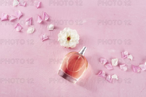 Rose fragrance bottle, a luxury product, shot from the top on a pink background with fresh flowers