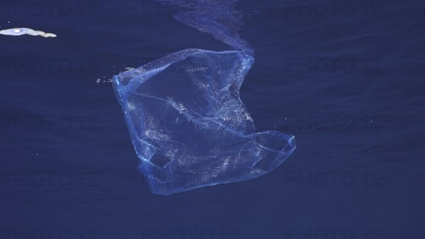 Disposable blue plastic bag floats under surface in blue water. Plastic bag thrown into sea drifts