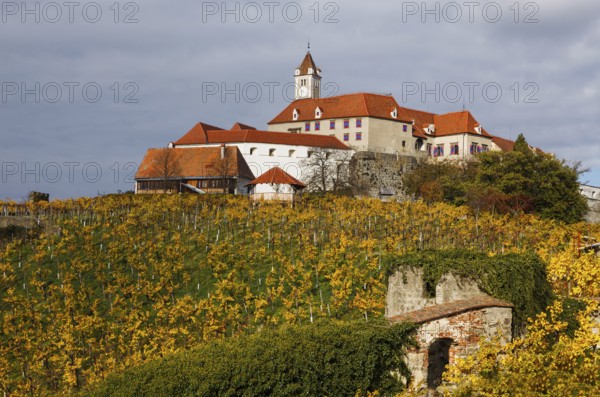 Riegersburg Castle in autumn, vineyard at front, Riegersburg, East Styria, Styria, Austria, Europe