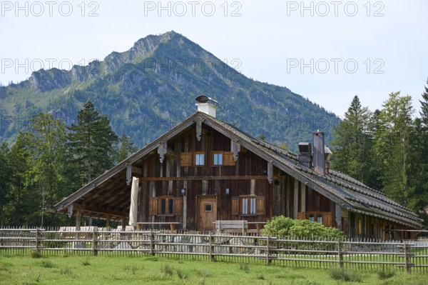 Saurüsselalm in front of Ochsenkamp, Bad Wiessee am Tegernsee, Mangfall mountains, Bavarian