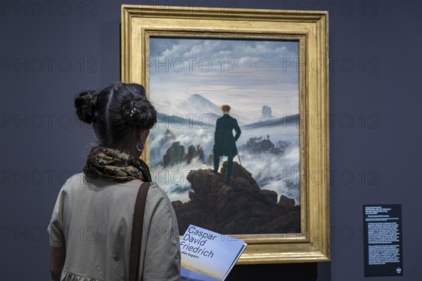 Anniversary exhibition on Caspar David Friedrich at the Albertinum. The painting The hiker above