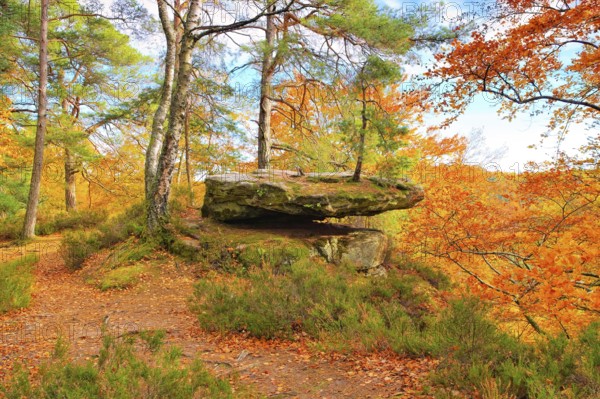 Old castle rock in Dahner Felsenland in autumn, Old castle rock in Dahn Rockland in autumn,