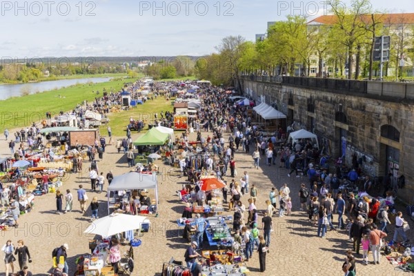 In the warmer months of the year there are several flea markets in Dresden, here is the largest one