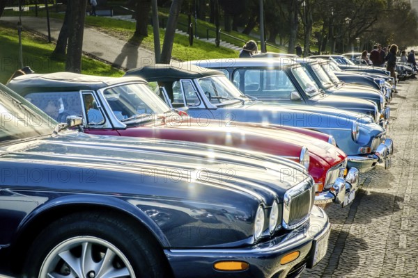 Lisbon, Portugal, Jan 20, 2024: A row of shiny vintage cars of Jaguar, MG, Triumph and Mini brands