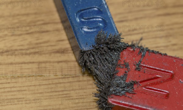Closeup of iron filings attached to both the north and south end of colored magnets on wood grain