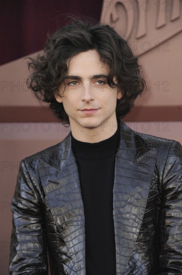 Timothee Chalamet at the Los Angeles premiere of 'Wonka' held at the Regency Village Theater in