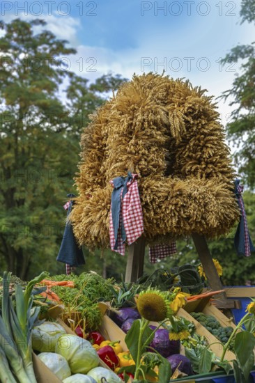 Harvest crown tied from different cereals for Thanksgiving, set up over various freshly harvested