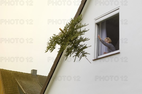 Woman throws a fir tree out of the window