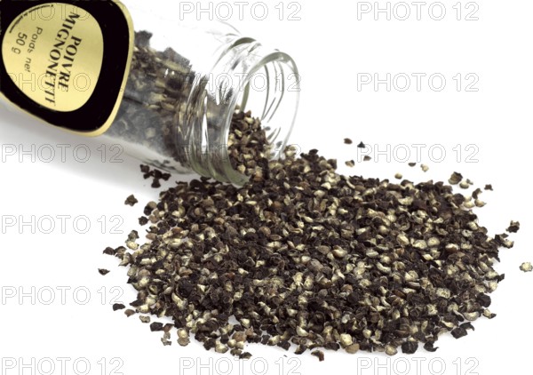 Real pepper, Black pepper (piper nigrum), Pepper bush, Pepper family, Mignonnette Pepper, Grinded