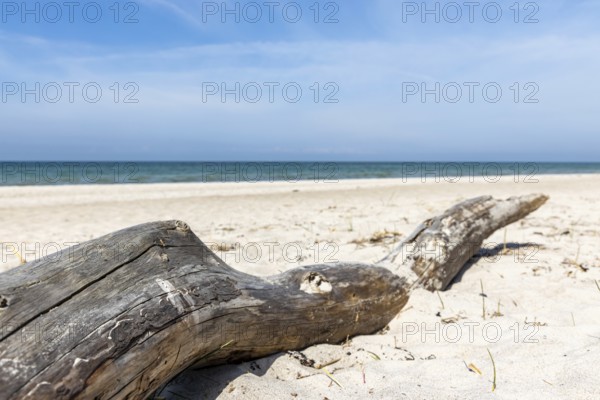 Baltic Sea beach West beach Darßer Ort