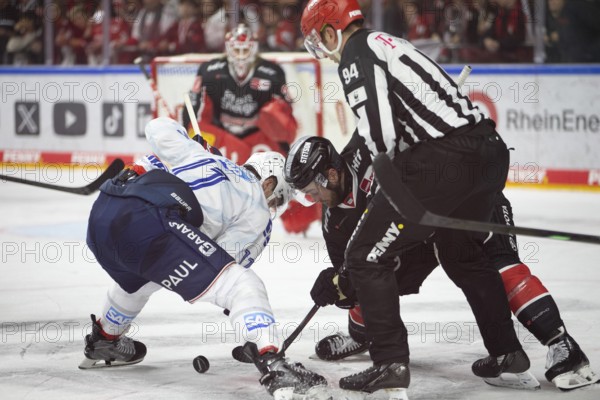 LanxessArena, Cologne, North Rhine-Westphalia, Kristian Reichel (Adler Mannheim, #11), Patrick