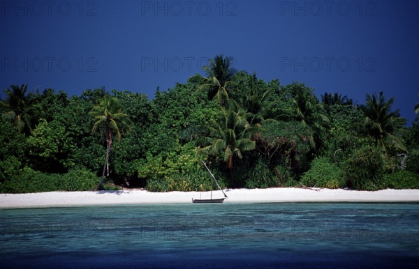 Maldives Island Rhasdoo, Native Island, Maldives, Indian Ocean, Rasdhoo Atoll, Asia