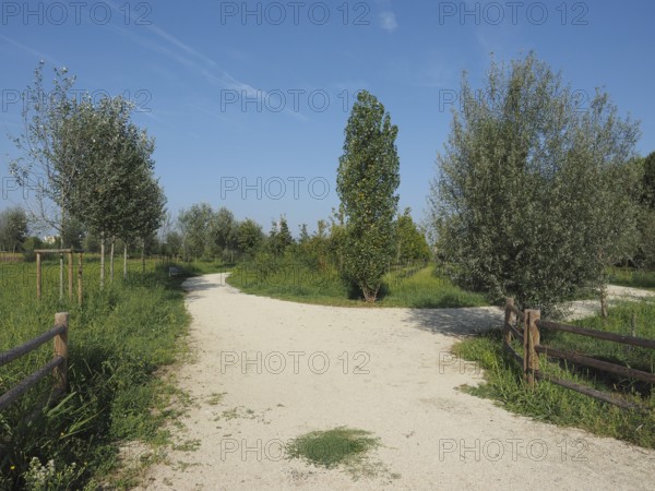 Berlinguer Park in Settimo Torinese, Italy, Europe