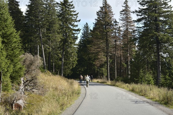 Hikers on the way from the summit of the Brocken to the village of Schierke in the Harz National