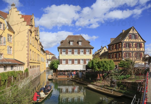 Petite Venise, Little Venice, half-timbered houses on the banks of the Lauch, old town of Colmar,