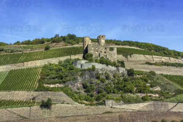 Ehrenfels Castle is a ruined hillside castle above the Rhine Gorge near the town of Rudesheim am