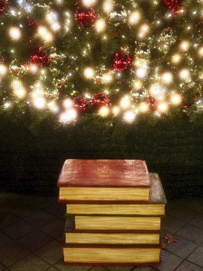 Books under the Christmas tree, Decoration, Roermond, Netherlands