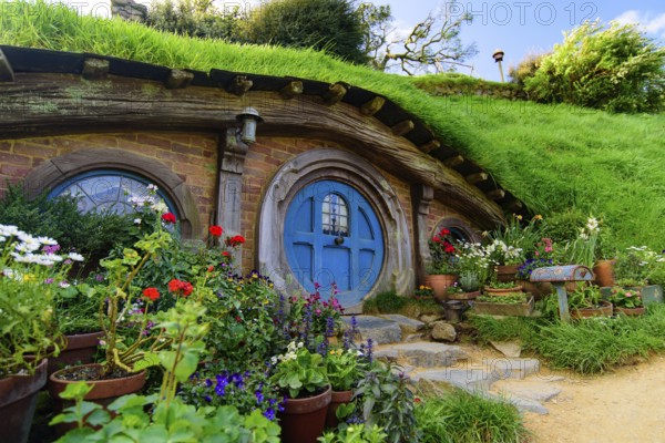 Hobbiton Movie Set of Shire in The Lord of the Rings and The Hobbit trilogies in Matamata, New