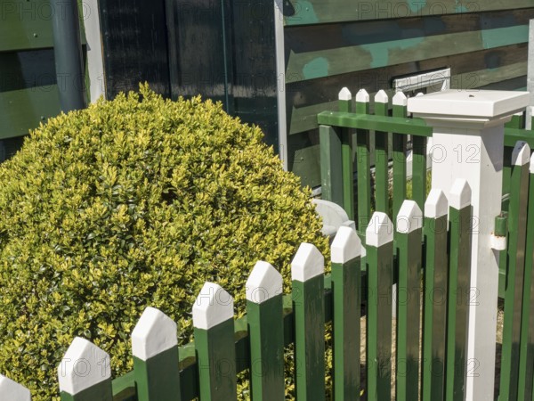 White-green fence in front of a small house and a large green hedge, enkhuizen, the netherlands