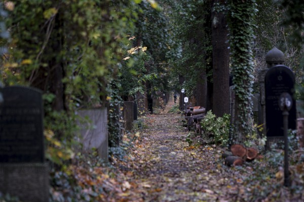 Germany, Berlin, 19.11.2023, Weißensee Jewish Cemetery, autumnal avenue, gravestones, Europe