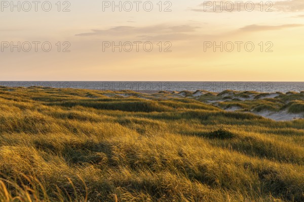 Evening at Vorupör harbour, Thy, Jutland, Denmark, Europe