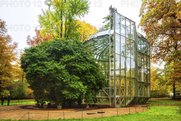 Pillnitz Palace Park Enclosure of the camellia