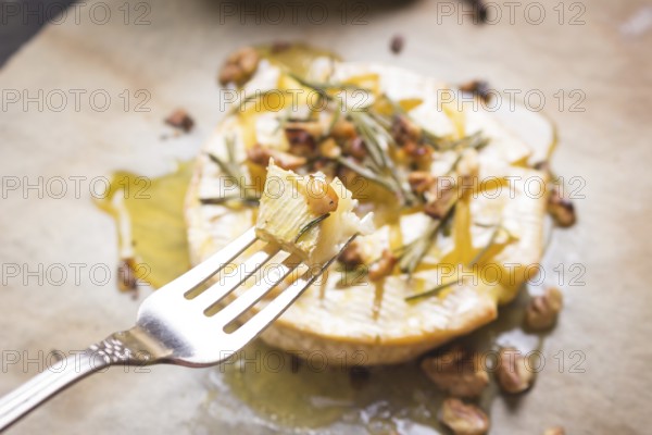 Piece of baked camambert on a fork. Delicious baked cheese with honey, walnuts, herbs and pears
