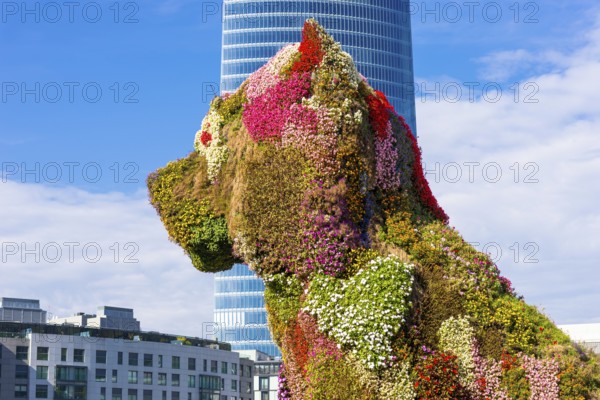 Jeff Koons Puppy, a West Highland White Terrier in a variety of flowers, in the Basque city Bilbao