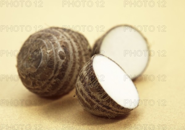 Taro (colocasia esculenta), Arum family, Eddo, Tuber of the Dasheen Plant