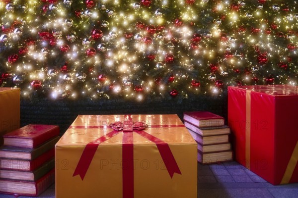Parcels and books under the Christmas tree, Decoration, Roermond, Netherlands