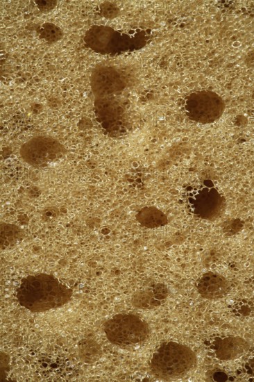 Orange sponge texture background, macro detail of surface