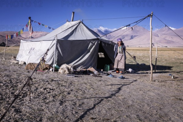 Changpa nomad in front of her tent, Hanle area, Ladakh, India, Asia