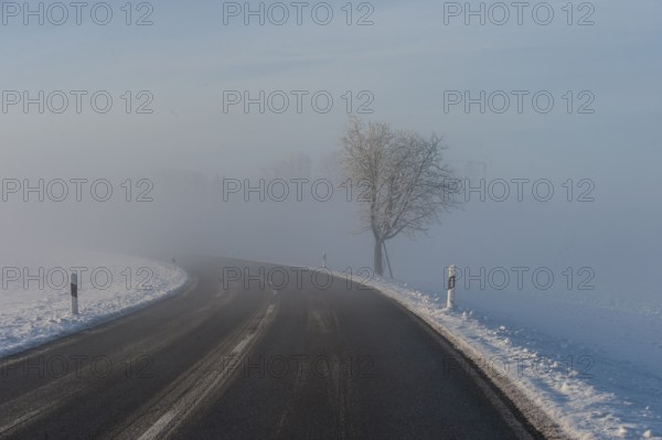 Country road near Nebel, Alpine foothills, Bavaria, Germany, Europe