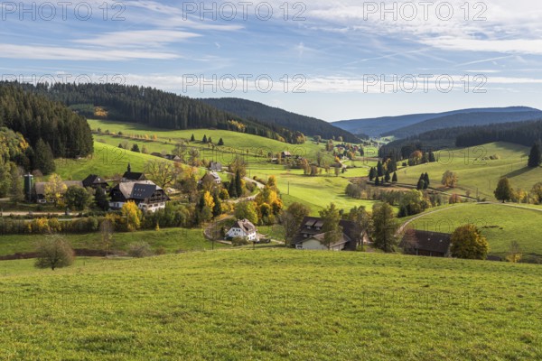 View of the autumnal Jostal valley in the Black Forest near Titisee-Neustadt, Baden-Württemberg,