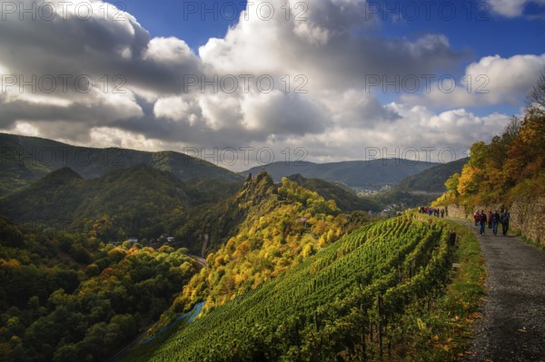 Hikers on the red wine trail from Altenahr to Mayschoß