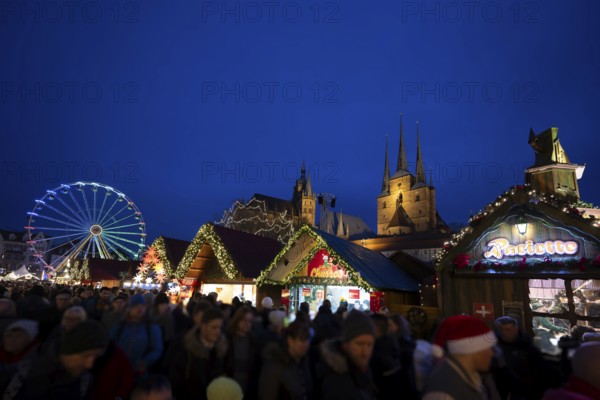 Christmas market on the cathedral square, Erfurt, Thuringia, Germany, Europe