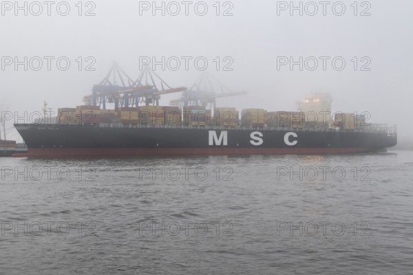 Weather, heavy fog in winter, container gantry cranes and container ship MSC Sola of the Swiss